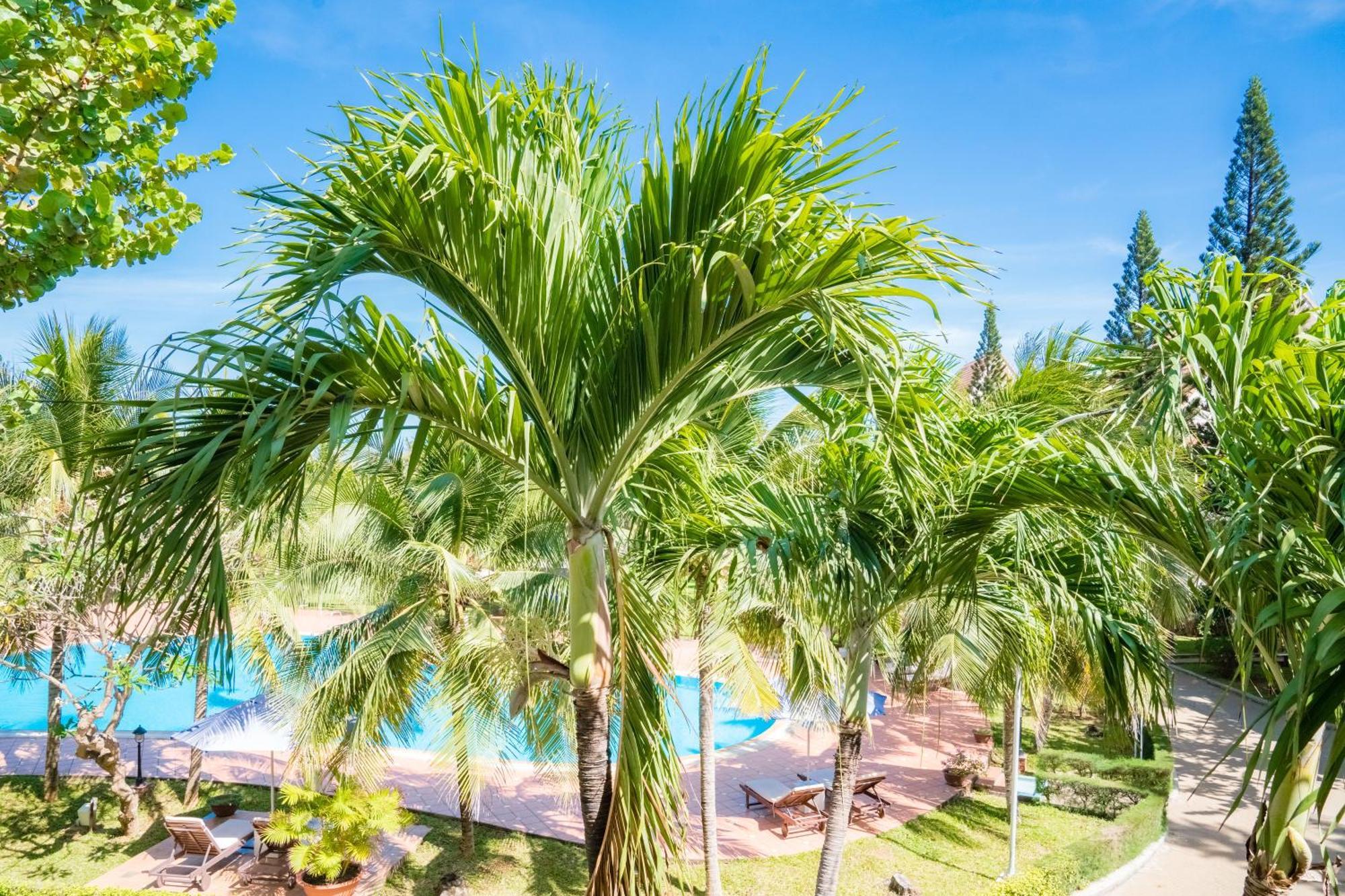 Lotus Vung Tau Resort & Spa Екстериор снимка